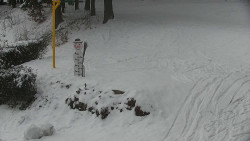 Běžecký lyžařský areál Nová Ves - horní část