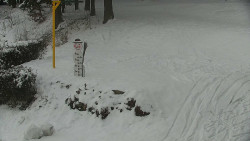 Běžecký lyžařský areál Nová Ves - horní část