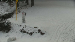 Běžecký lyžařský areál Nová Ves - horní část