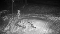 Běžecký lyžařský areál Nová Ves - horní část