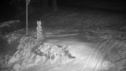 Běžecký lyžařský areál Nová Ves - horní část