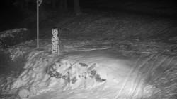 Běžecký lyžařský areál Nová Ves - horní část