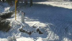 Běžecký lyžařský areál Nová Ves - horní část