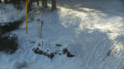 Běžecký lyžařský areál Nová Ves - horní část