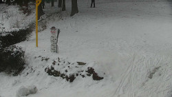 Běžecký lyžařský areál Nová Ves - horní část