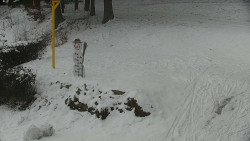 Běžecký lyžařský areál Nová Ves - horní část