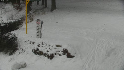 Běžecký lyžařský areál Nová Ves - horní část