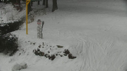 Běžecký lyžařský areál Nová Ves - horní část