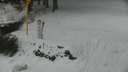 Běžecký lyžařský areál Nová Ves - horní část