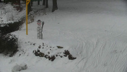 Běžecký lyžařský areál Nová Ves - horní část