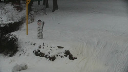 Běžecký lyžařský areál Nová Ves - horní část