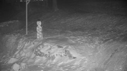 Běžecký lyžařský areál Nová Ves - horní část