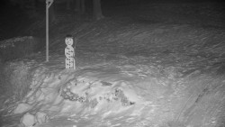 Běžecký lyžařský areál Nová Ves - horní část