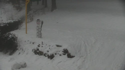 Běžecký lyžařský areál Nová Ves - horní část