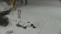 Běžecký lyžařský areál Nová Ves - horní část