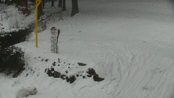 Běžecký lyžařský areál Nová Ves - horní část