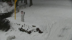 Běžecký lyžařský areál Nová Ves - horní část