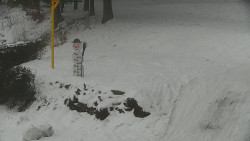 Běžecký lyžařský areál Nová Ves - horní část