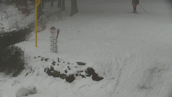 Běžecký lyžařský areál Nová Ves - horní část