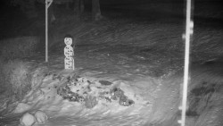 Běžecký lyžařský areál Nová Ves - horní část