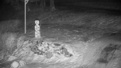 Běžecký lyžařský areál Nová Ves - horní část