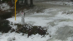 Běžecký lyžařský areál Nová Ves - horní část