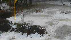 Běžecký lyžařský areál Nová Ves - horní část