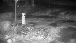 Běžecký lyžařský areál Nová Ves - horní část