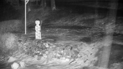 Běžecký lyžařský areál Nová Ves - horní část