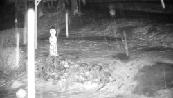 Běžecký lyžařský areál Nová Ves - horní část