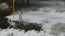 Běžecký lyžařský areál Nová Ves - horní část