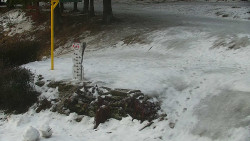 Běžecký lyžařský areál Nová Ves - horní část