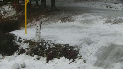 Běžecký lyžařský areál Nová Ves - horní část