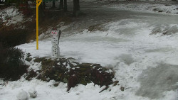 Běžecký lyžařský areál Nová Ves - horní část