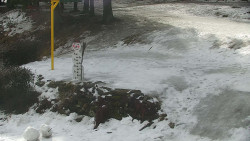 Běžecký lyžařský areál Nová Ves - horní část