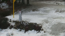 Běžecký lyžařský areál Nová Ves - horní část