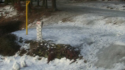 Běžecký lyžařský areál Nová Ves - horní část