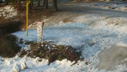 Běžecký lyžařský areál Nová Ves - horní část