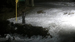 Běžecký lyžařský areál Nová Ves - horní část