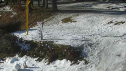 Běžecký lyžařský areál Nová Ves - horní část