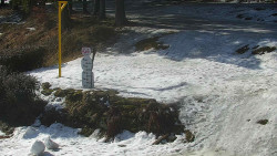 Běžecký lyžařský areál Nová Ves - horní část