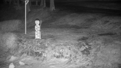 Běžecký lyžařský areál Nová Ves - horní část