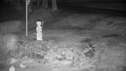 Běžecký lyžařský areál Nová Ves - horní část