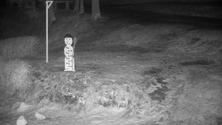 Běžecký lyžařský areál Nová Ves - horní část