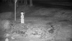 Běžecký lyžařský areál Nová Ves - horní část