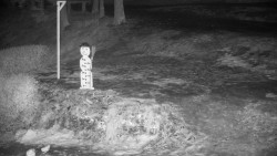 Běžecký lyžařský areál Nová Ves - horní část