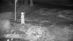 Běžecký lyžařský areál Nová Ves - horní část