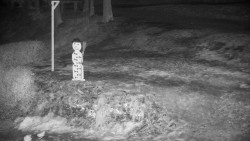 Běžecký lyžařský areál Nová Ves - horní část