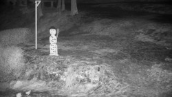 Běžecký lyžařský areál Nová Ves - horní část