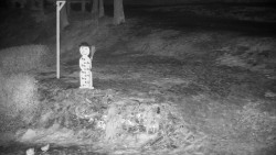 Běžecký lyžařský areál Nová Ves - horní část